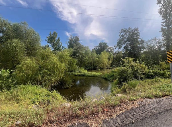 E Hwy 28, Bluffton, AR 72827