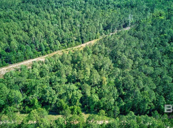EVANS Road, Chunchula, AL 36521