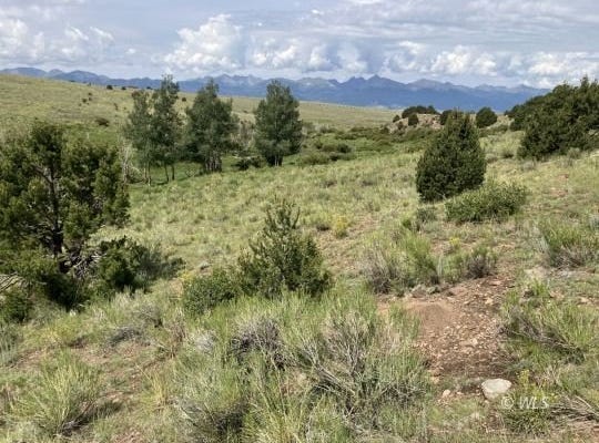 565 Marcy Ave, Westcliffe, CO 81252