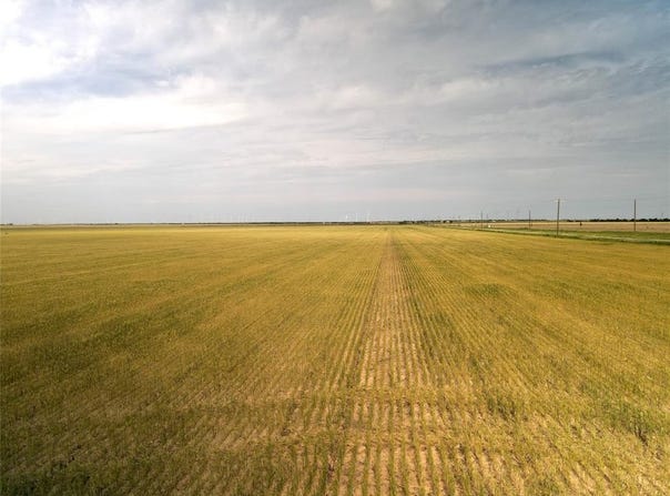 338 Acres FM 617, No City, TX 79521