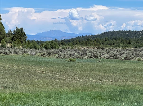 Tbd Highway 84/64, Tierra Amarilla, NM 87575