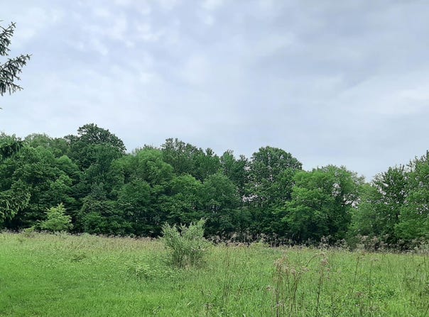 000 Sunset View Lane, Portage, PA 15946