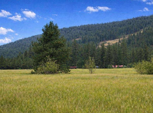 3349 ROCKCUT RD, KETTLE FALLS, WA 99141