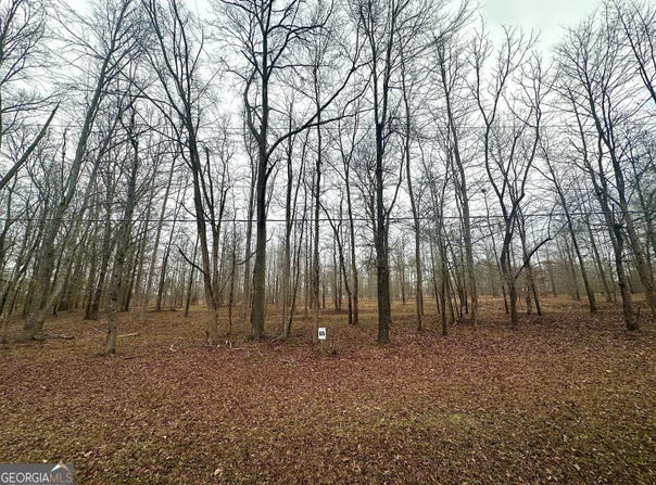 Lot 65 Parks Ferry, Greensboro, GA 30642