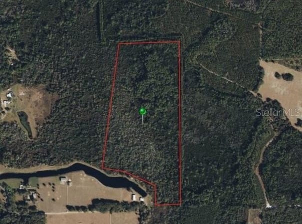 RAULERSON Road, SEVILLE, FL 32190