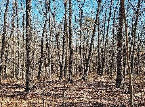 0 Bluff View Dr W, Dunlap, TN 37327