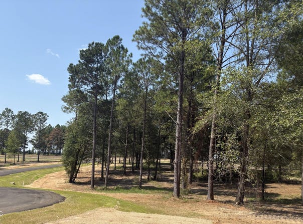 Sunfish Lane lot: 4, Lucedale, MS 39452