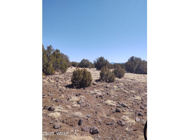 182 Show Low Pines, Concho, AZ 85924