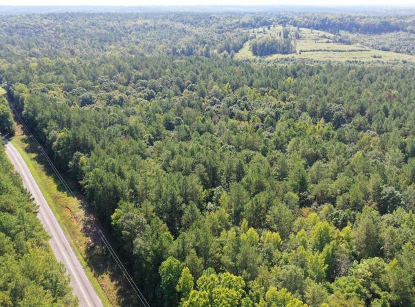 Neely Ferry Road, Tract A, Waterloo, SC 29384