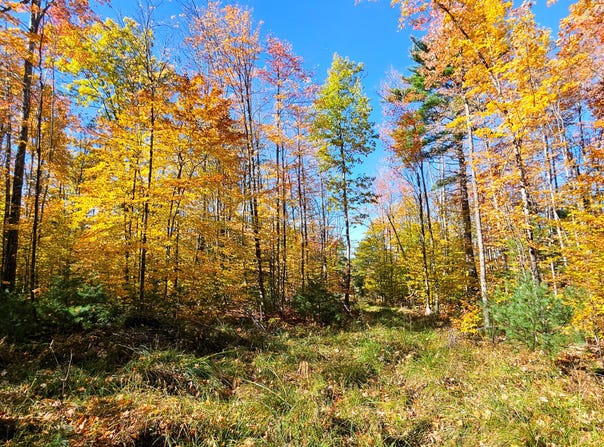 M13 L55 Holman Road, Peru, ME 04290