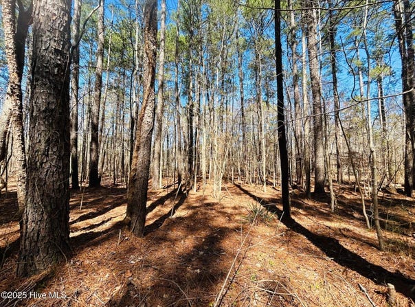 52-a Hunt Club Trail, Hertford, NC 27944
