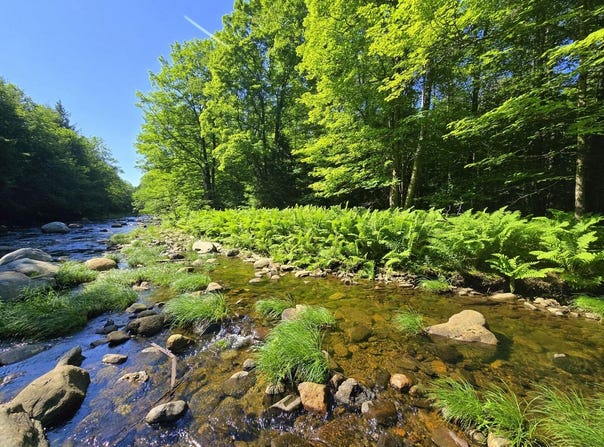 Temple Road lot: 67-C, Temple, ME 04984