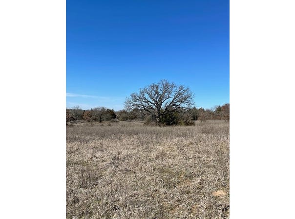 342 Trailride Lane, Nocona, TX 76255