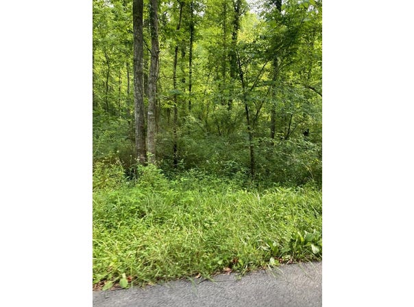 16165 Brushy Rd, Pikeville, KY 41501