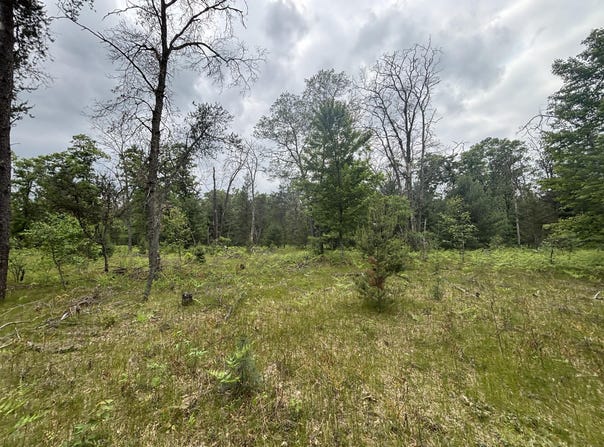 V/L 14a N Woodbridge Avenue, Bitely, MI 49309