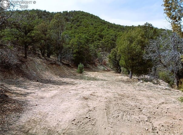 Tr3 Mineshaft Place, Cotopaxi, CO 81223
