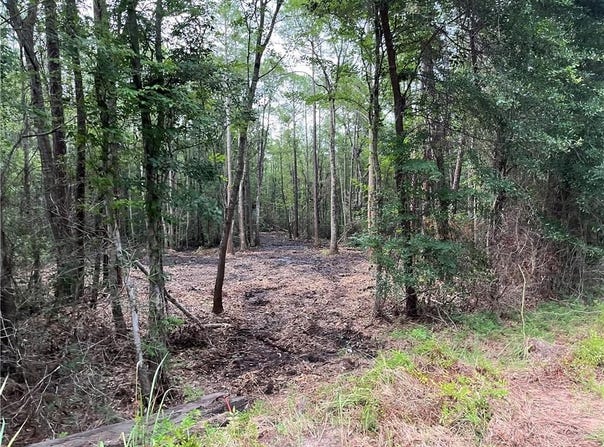 00 Fowl River Road, Theodore, AL 36582