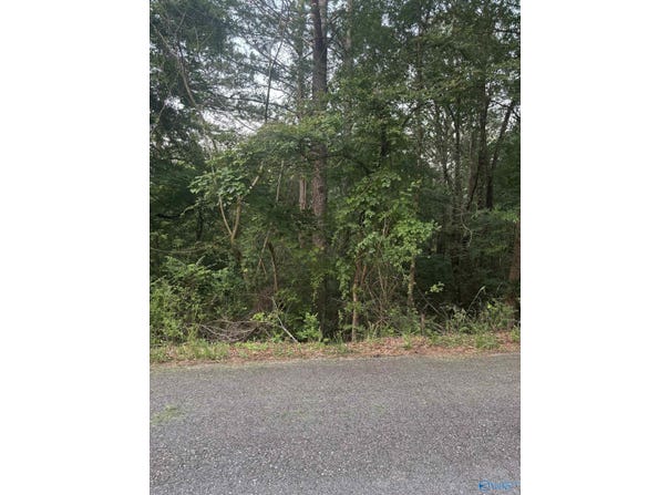 1 Berkley Hills Drive, Southside, AL 35907