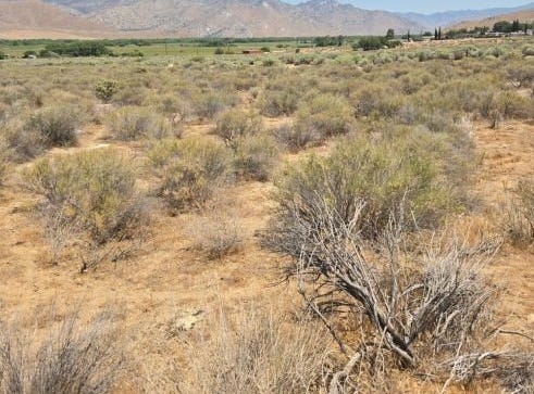 426-390-20 Rankin, Weldon, CA 93283