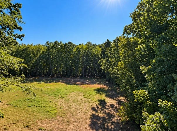 Cifax Road, Goode, VA 24556