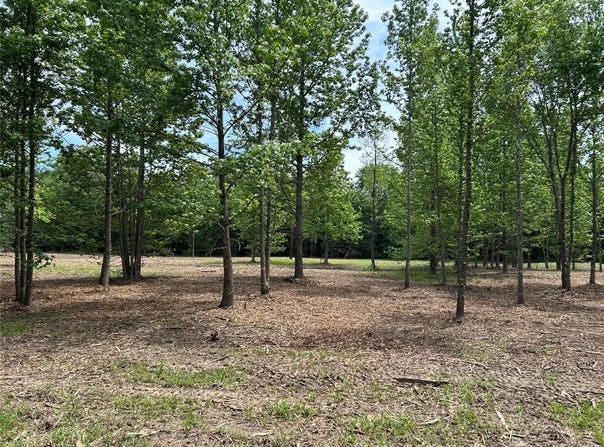 0000 CR 1412, Bogata, TX 75417