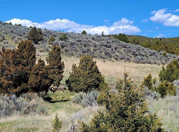 Alder, MT 59710
