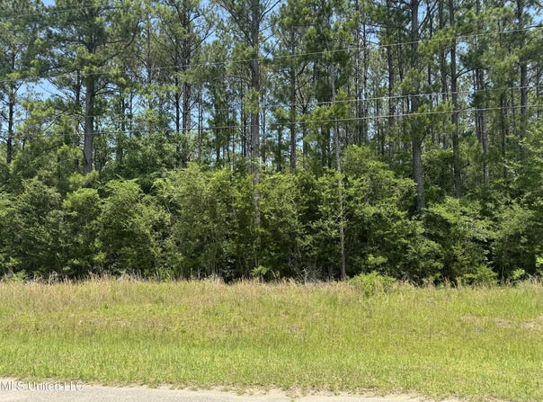 E Edgewood Drive, Saucier, MS 39574