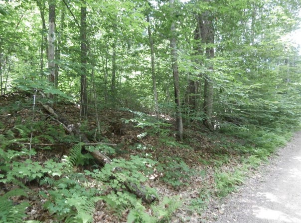 Lot 005 Hebo Hybo Road, Acton, ME 04001