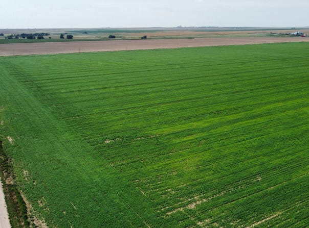 County Road 33, Genoa, CO 80818