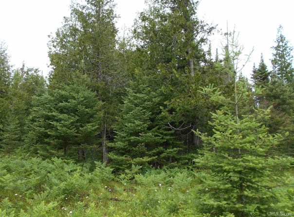 TBD US-2, Gould City, MI 49838