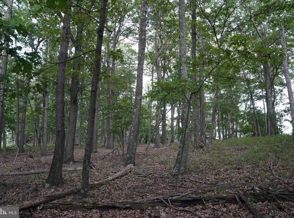 LOT 7 JUSTIN LN, GREAT CACAPON, WV 25422