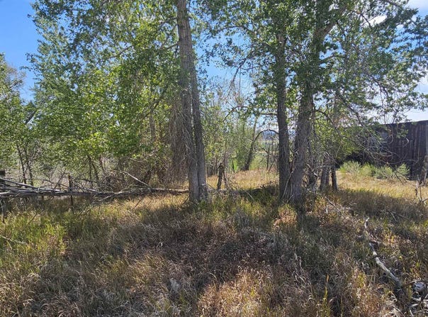 Tbd Underwoods Lane, Montrose, CO 81403