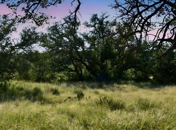 1 Cave Wells Ranch, Menard, TX 76841