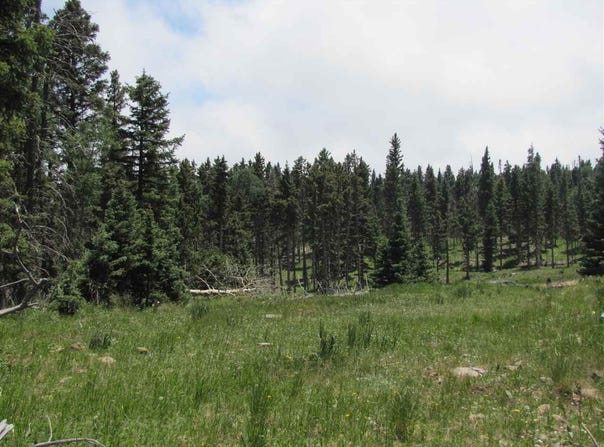 Lot 22 Hinz Drive, Angel Fire, NM 87710