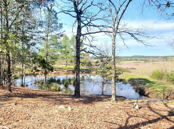 820 Blow Out Mtn. Road, Pencil Bluff, AR 71965