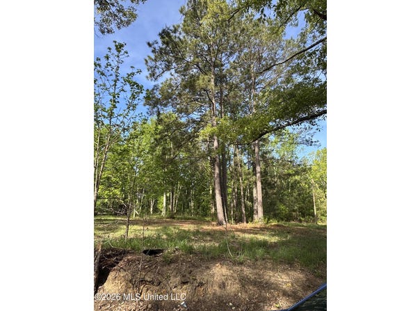 Stump Road, Gloster, MS 39638