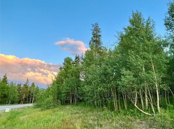190 EASY BEND TRAIL, Silverthorne, CO 80498