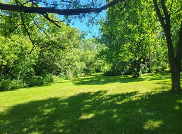 Big Chip Trail NW lot: 5, Garfield, MN 56332