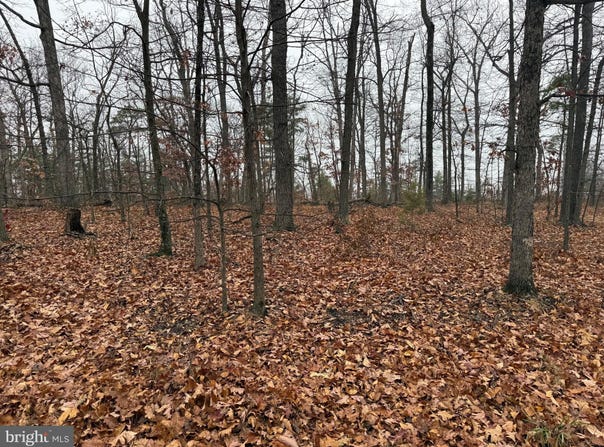 WHITE PINE Lane, WINCHESTER, VA 22602