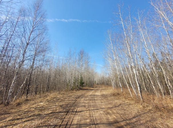 Near KNOWLES RD, Loretta, WI 54896