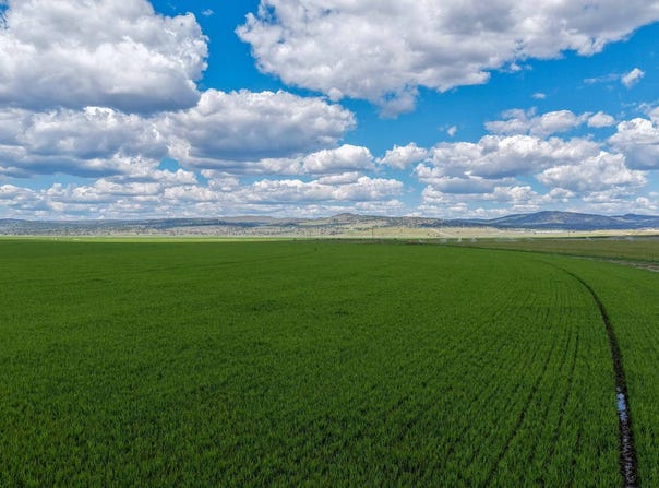 67502 Scott Rd, Hines, OR 97738