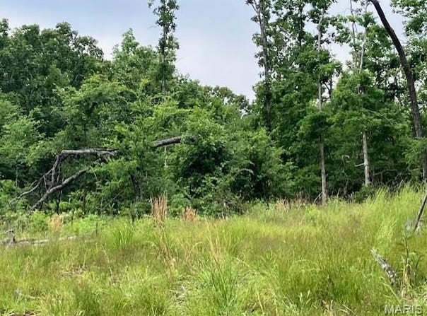 234 Madison CR 410, Fredericktown, MO 63645