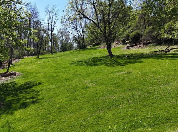 Goose Run Road, Fairmont, WV 26554