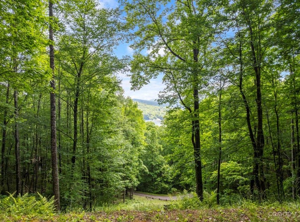 Lt 12A Von Trapp Lane unit: 12A, Tuckasegee, NC 28783