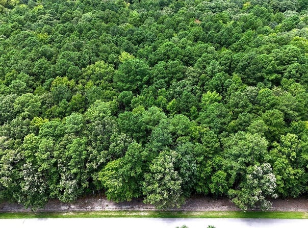 Tbd Boat Ramp Road, New Hope, NC 27944