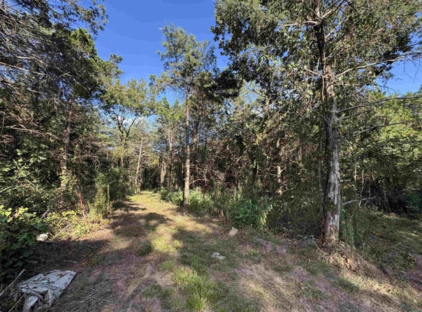 000 Leftwich Lane, Booneville, AR 72927