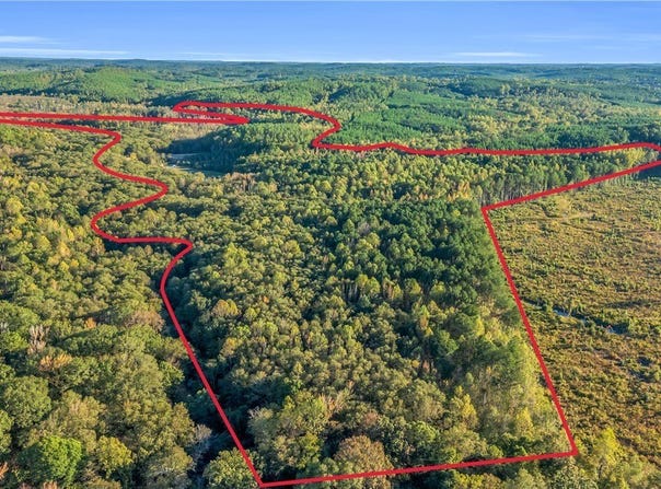 Snake Branch rd, Vernon, AL 35592