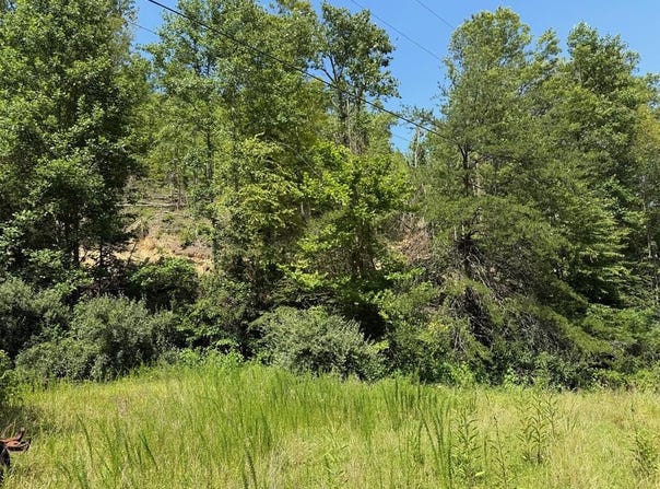 0 Sunshine Lane on Buffalo, Prestonsburg, KY 41653
