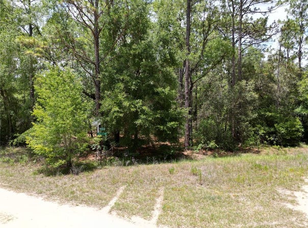 0000 SW 159TH AVE ROAD, OCALA, FL 34481