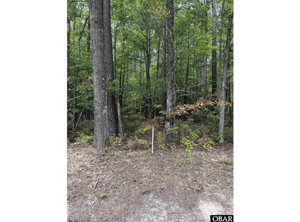TBD Boat Ramp Road, New Hope, NC 27944